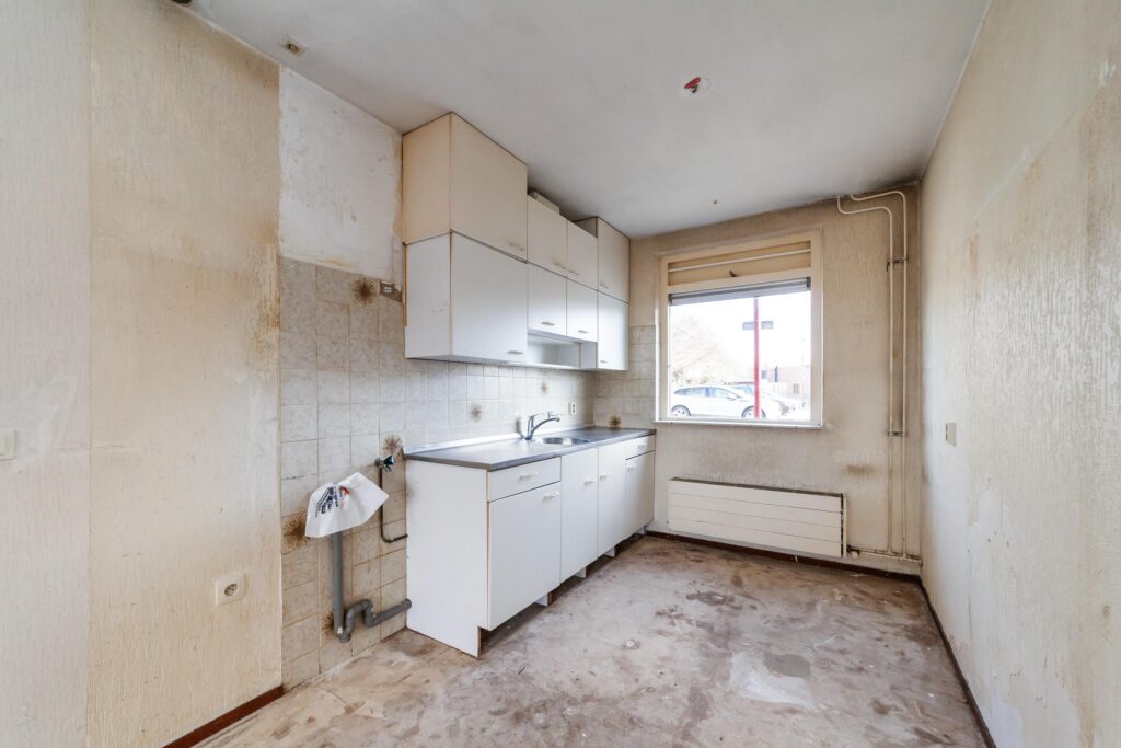 Ringfazant 21 – Foto 9