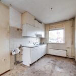 Ringfazant 21 – Foto 9