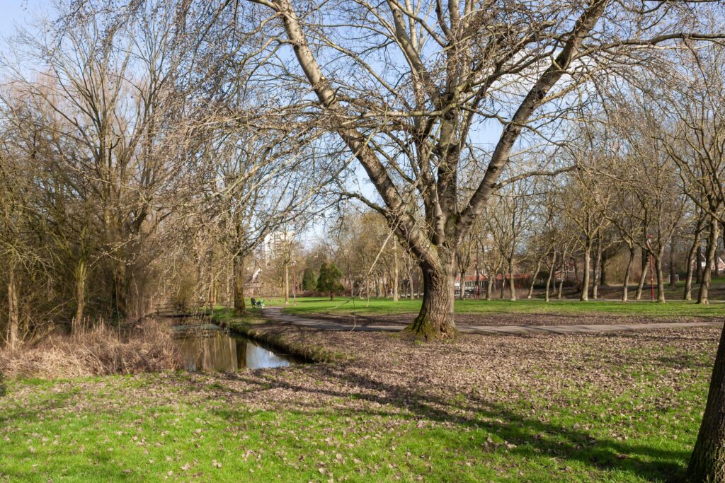 Ringfazant 21 – Foto 11