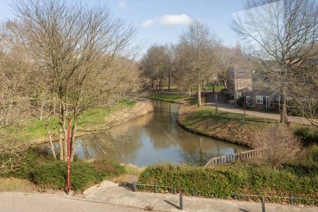 Ringfazant 21 – Foto 14