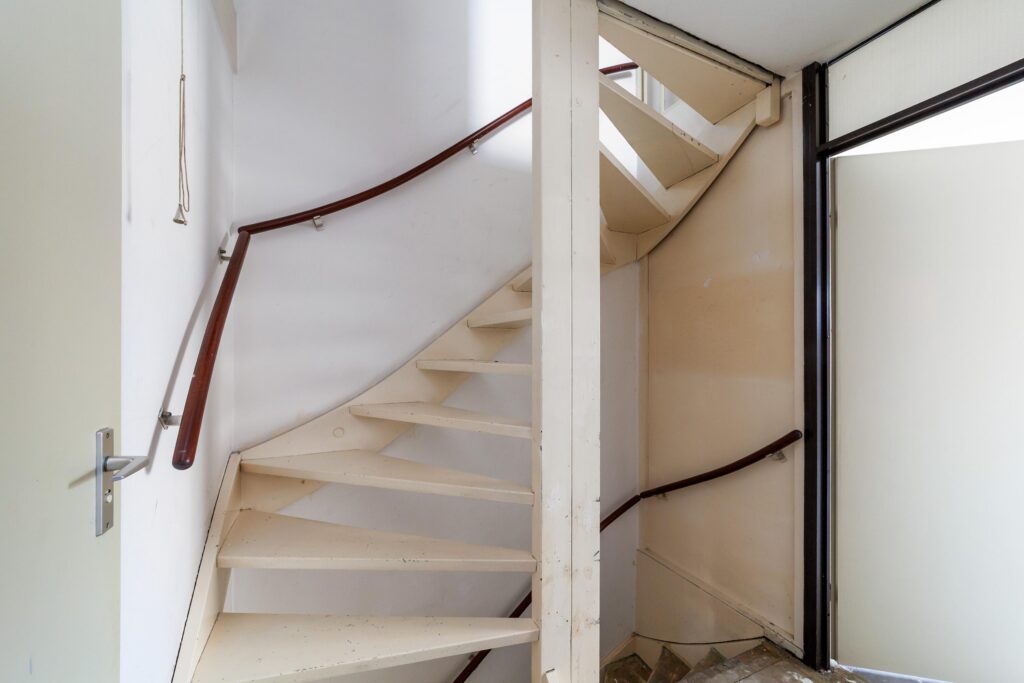 Ringfazant 21 – Foto 15