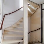 Ringfazant 21 – Foto 15