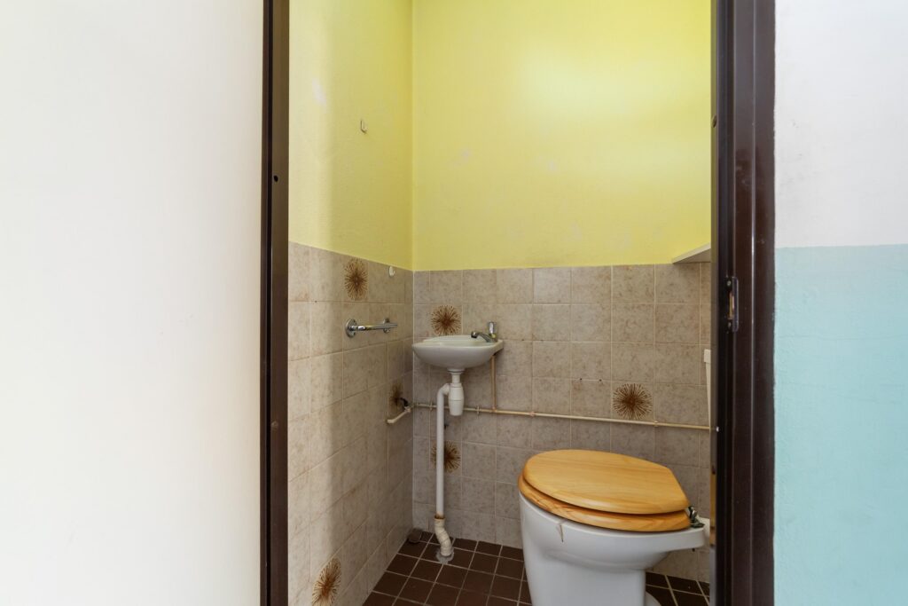 Ringfazant 21 – Foto 17