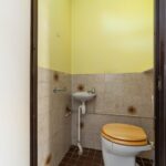 Ringfazant 21 – Foto 17