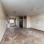 Ringfazant 21 – Foto 18