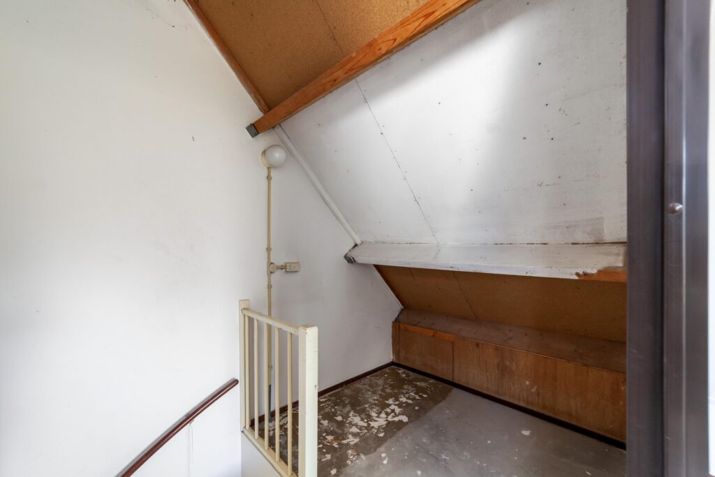 Ringfazant 21 – Foto 23