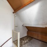 Ringfazant 21 – Foto 23