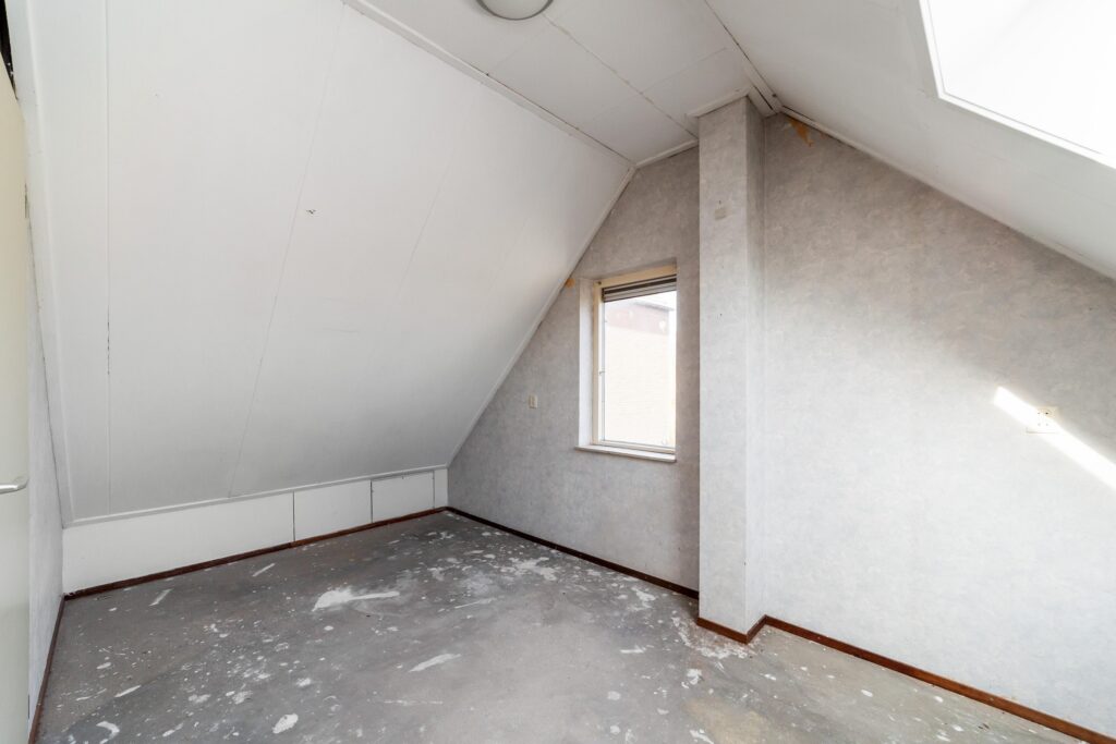 Ringfazant 21 – Foto 26