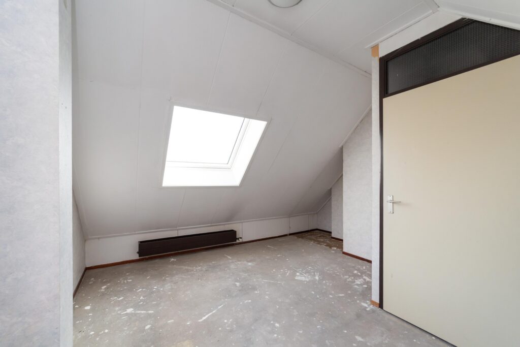 Ringfazant 21 – Foto 25